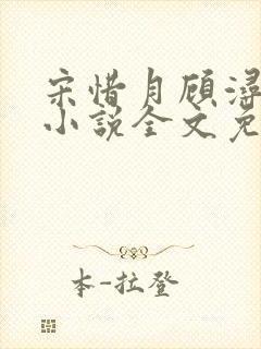 宋惜月顾浔渊的小说全文免费阅读