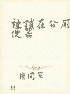 被锁在公厕当坐便器