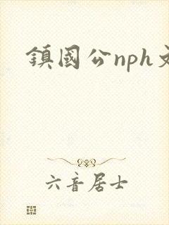 镇国公nph文