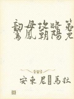 韵母攻略第二部鸾凤朝阳免费阅读