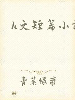h文短篇小说