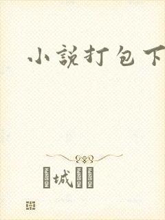 小说打包下载