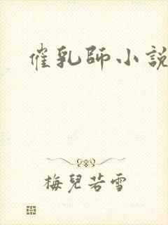 催乳师小说