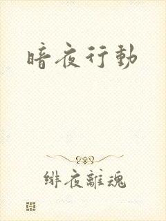 暗夜行动