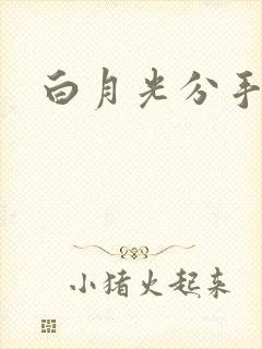 白月光分手日常