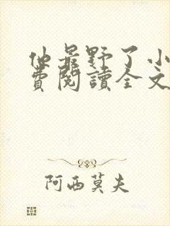 他最野了小说免费阅读全文