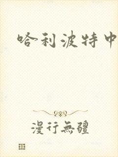 哈利波特中文版