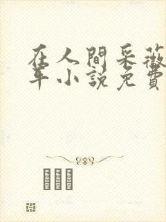 在人间采薇陆三平小说免费阅读