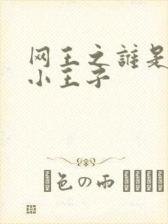 网王之谁是我的小王子