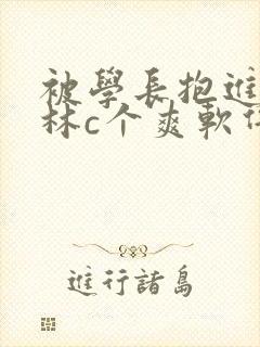 被学长抱进小树林c个爽软件