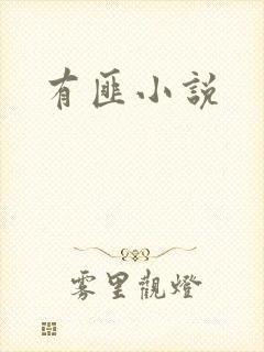 有匪小说