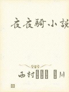 夜夜骑小说