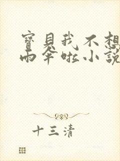 宝贝我不想带小雨伞啦小说