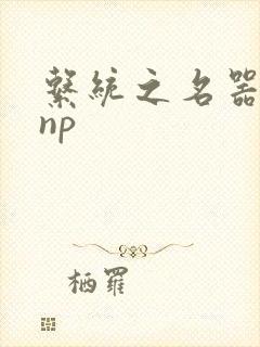 系统之名器攻略np