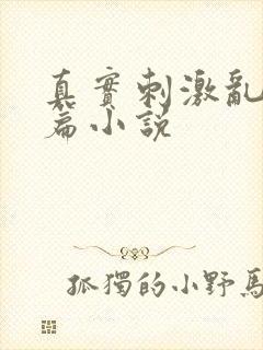 真实刺激乱13篇小说