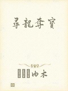 寻龙夺宝