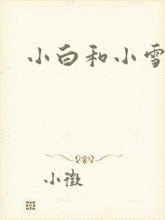 小白和小雪