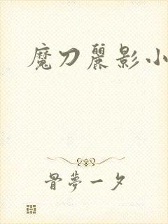 魔刀丽影小说