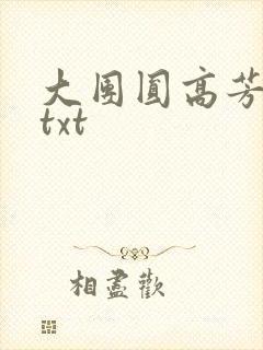 大团圆高芳小说txt