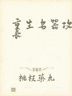 重生名器攻略兄长