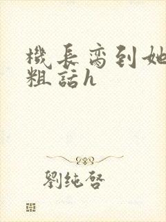 机长脔到她哭h粗话h