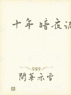十年 暗夜流光