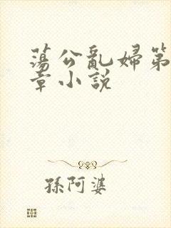 荡公乱妇第51章小说