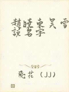 赵晓东吴雪晴小说名字