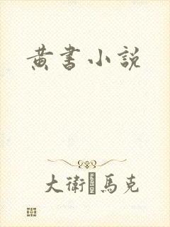 黄书小说