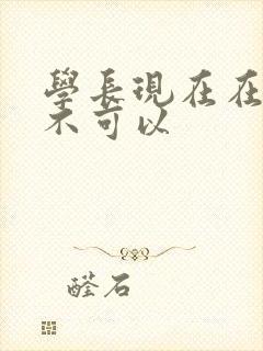 学长现在在上课不可以