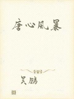 唐心风暴
