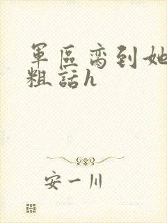 军区脔到她哭h粗话h