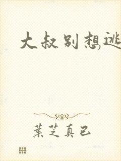 大叔别想逃
