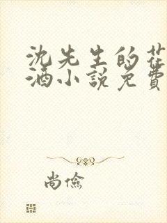 沈先生的花式调酒小说免费阅读