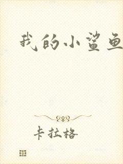 我的小鲨鱼