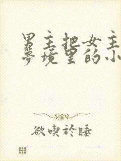 男主把女主拖进梦境里的小说