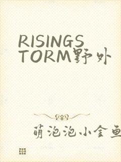 RISINGSTORM野外