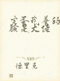 完蛋我养的小白脸是大佬