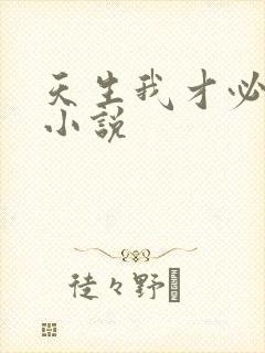 天生我才必有用小说