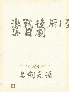 激战后厨1至5集日剧