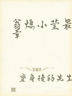 翁熄小莹最新节章