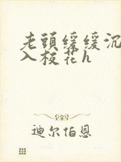 老头缓缓沉腰进入校花h