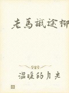 老马识途柳娇娇