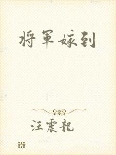 将军嫁到
