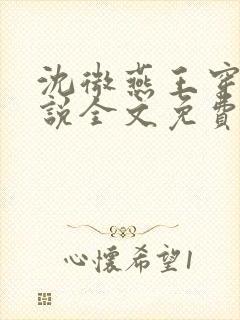 沈微燕王穿越小说全文免费阅读