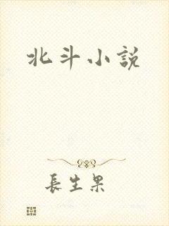 北斗小说
