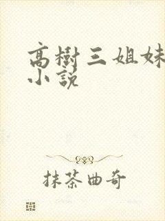 高树三姐妹有声小说