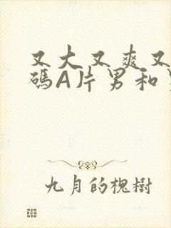 又大又爽又黄无码A片男和男