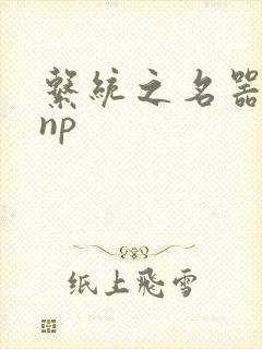 系统之名器攻略np