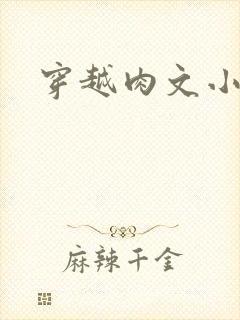 穿越肉文小说